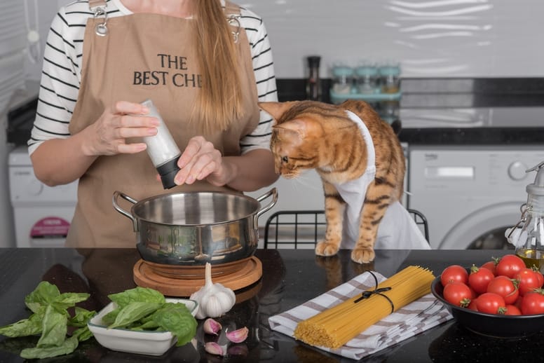 Es La Albahaca T xica En Gatos Lo Que Debes Saber es-la-albahaca-t-xica-en-gatos-lo-que-debes-saber